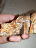 Natural Chocolate Calcite Botryoidal Display Specimen 225g | Polished Cross Section | Pakistan #9