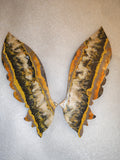 Bumblebee Jasper Wings with Display Stand - UV reactive