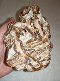 Natural Chocolate Calcite Formation 566g | Pakistan | Banded Mineral Display Specimen | Collector Crystal #4