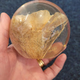 Hafod Grange Carnation Resin Paperweight