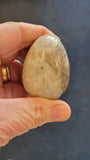 Grey Agate Crystal Egg - Egg #1