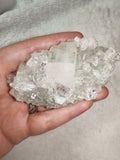 Apophyllite Cluster with Green Matrix - #14 - Approx. 140g