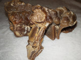 Natural Chocolate Calcite Botryoidal Display Specimen 225g | Polished Cross Section | Pakistan #9