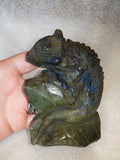 Labradorite chameleon carving 400g