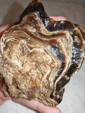 Natural Chocolate Calcite Polished Freeform 242g | Pakistan | Banded Display Mineral Specimen #7
