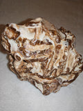 Natural Chocolate Calcite Formation 566g | Pakistan | Banded Mineral Display Specimen | Collector Crystal #4