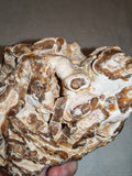 Natural Chocolate Calcite Formation 566g | Pakistan | Banded Mineral Display Specimen | Collector Crystal #4