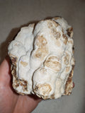 Large Natural Chocolate Calcite Formation 725g | Pakistan | Unique Mineral Display Specimen | Collector Crystal #3