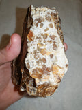 Natural Chocolate Calcite Botryoidal Formation 541g | Pakistan | Banded Display Mineral Specimen #6