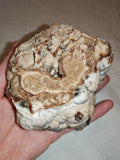 Natural Chocolate Calcite Botryoidal Formation 540g | Pakistan | Cave Display Mineral Specimen #5