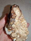 Natural Botryoidal Chocolate Calcite Display Specimen 353g | White & Brown Banded Mineral | Pakistan #10