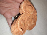 Moroccan Pseudo-Stromatolite Sand Concretion Barite Desert Formation 316g #1