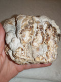 Large Natural Chocolate Calcite Formation 725g | Pakistan | Unique Mineral Display Specimen | Collector Crystal #3