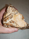 Natural Chocolate Calcite Formation 566g | Pakistan | Banded Mineral Display Specimen | Collector Crystal #4