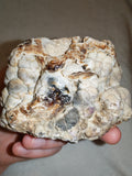 Natural Chocolate Calcite Botryoidal Formation 540g | Pakistan | Cave Display Mineral Specimen #5