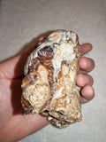 Natural Botryoidal Chocolate Calcite Display Specimen 353g | White & Brown Banded Mineral | Pakistan #10