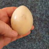 White Alabaster Egg #11 – Approx. 165g