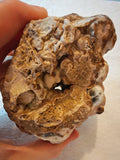 Natural Chocolate Calcite Botryoidal Formation 540g | Pakistan | Cave Display Mineral Specimen #5