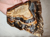 Natural Chocolate Calcite Polished Freeform 532g | Pakistan | Banded Botryoidal Display Mineral Specimen #8