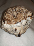 Natural Chocolate Calcite Botryoidal Formation 540g | Pakistan | Cave Display Mineral Specimen #5