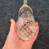 Clear Bubble Glass Pear Paperweight