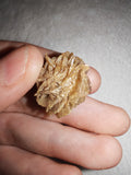 7g Natural Desert Rose Gypsum Crystal Rosette Selenite Mineral Cluster