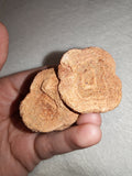 Moroccan Sand Stromatolite Pseudo-Stromatolite Desert Concretion 80g #2