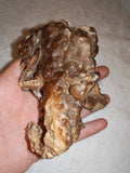 Natural Chocolate Calcite Botryoidal Display Specimen 225g | Polished Cross Section | Pakistan #9