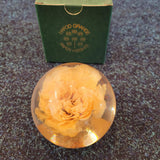 Hafod Grange Carnation Resin Paperweight