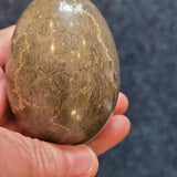 Fossil Rich Stone Egg #14 – Approx. 260g