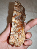 Natural Chocolate Calcite Botryoidal Display Specimen 225g | Polished Cross Section | Pakistan #9