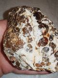 Natural Chocolate Calcite Botryoidal Formation 541g | Pakistan | Banded Display Mineral Specimen #6