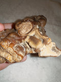Natural Chocolate Calcite Botryoidal Display Specimen 225g | Polished Cross Section | Pakistan #9
