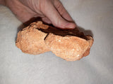 Moroccan Pseudo-Stromatolite Sand Concretion Barite Desert Formation 316g #1