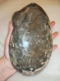 UV Reactive Volcano Agate Dragon Bowl - 800g