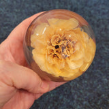 Hafod Grange Carnation Resin Paperweight