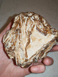 Natural Chocolate Calcite Formation 566g | Pakistan | Banded Mineral Display Specimen | Collector Crystal #4