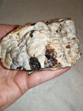 Natural Chocolate Calcite Botryoidal Formation 540g | Pakistan | Cave Display Mineral Specimen #5