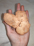 Moroccan Pseudo-Stromatolite Sand Concretion Barite Desert Formation 316g #1