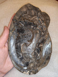 UV Reactive Volcano Agate Dragon Bowl - 800g