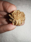 7g Natural Desert Rose Gypsum Crystal Rosette Selenite Mineral Cluster