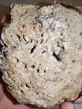 Natural Chocolate Calcite Botryoidal Formation 540g | Pakistan | Cave Display Mineral Specimen #5
