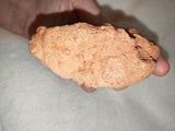 Moroccan Pseudo-Stromatolite Sand Concretion Barite Desert Formation 316g #1