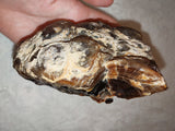 Natural Chocolate Calcite Polished Freeform 532g | Pakistan | Banded Botryoidal Display Mineral Specimen #8