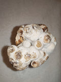 Large Natural Chocolate Calcite Formation 725g | Pakistan | Unique Mineral Display Specimen | Collector Crystal #3