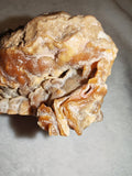 Natural Chocolate Calcite Botryoidal Display Specimen 225g | Polished Cross Section | Pakistan #9