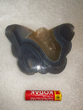 Agate Butterfly Carving with Druzy Centre