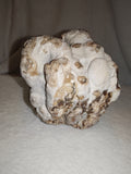 Large Natural Chocolate Calcite Formation 725g | Pakistan | Unique Mineral Display Specimen | Collector Crystal #3