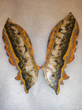 Bumblebee Jasper Wings with Display Stand - UV reactive