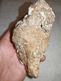 Natural Botryoidal Chocolate Calcite Display Specimen 353g | White & Brown Banded Mineral | Pakistan #10